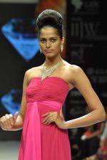 Model walks the ramp for Dynamic International Show at IIJW Day 1 on 19th Aug 2012  (31).JPG